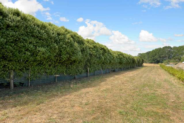 548c Te Kowhai Road Te Kowhai_2