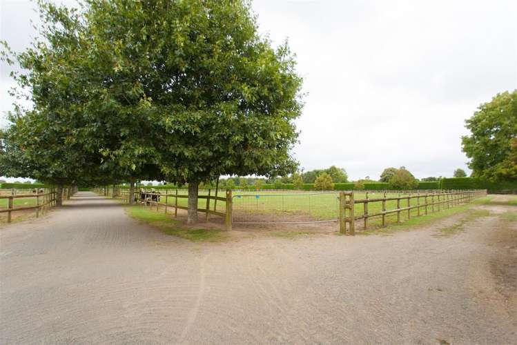 7567 State Highway 27 Matamata_15