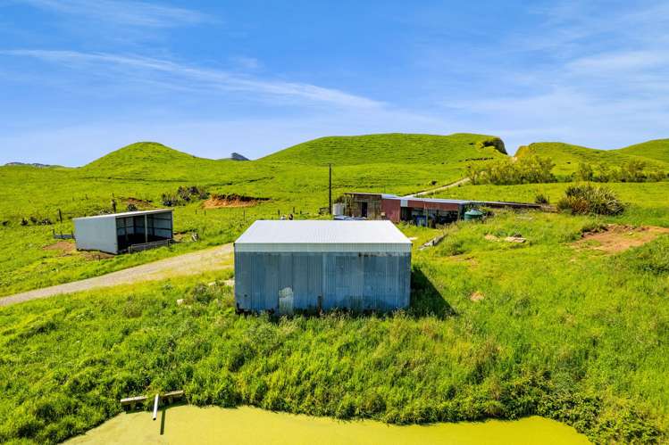 617 Parihaka Road Pungarehu_9