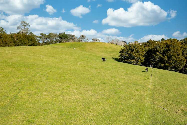 365 Pigs Head Road Hukerenui and Surrounds_12
