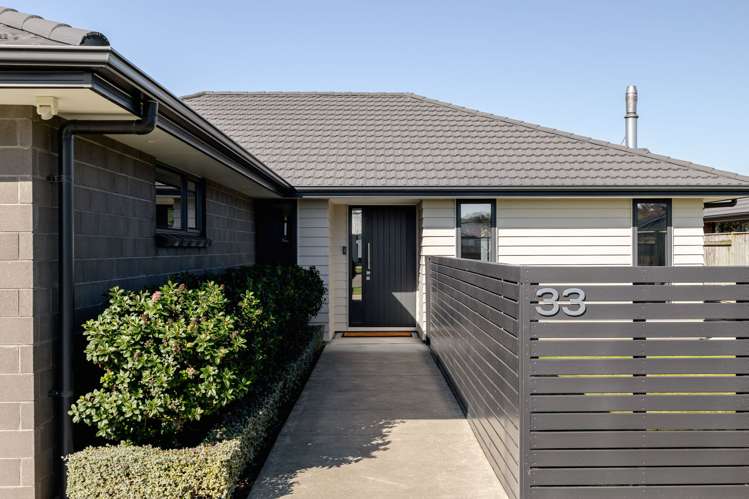33 Monarch Drive Ashhurst_0