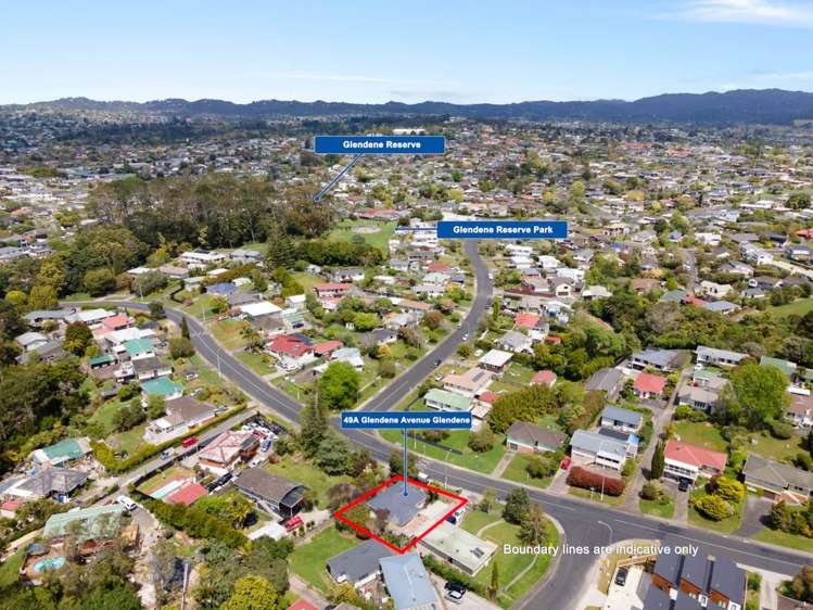 49a Glendene Avenue Glendene_16