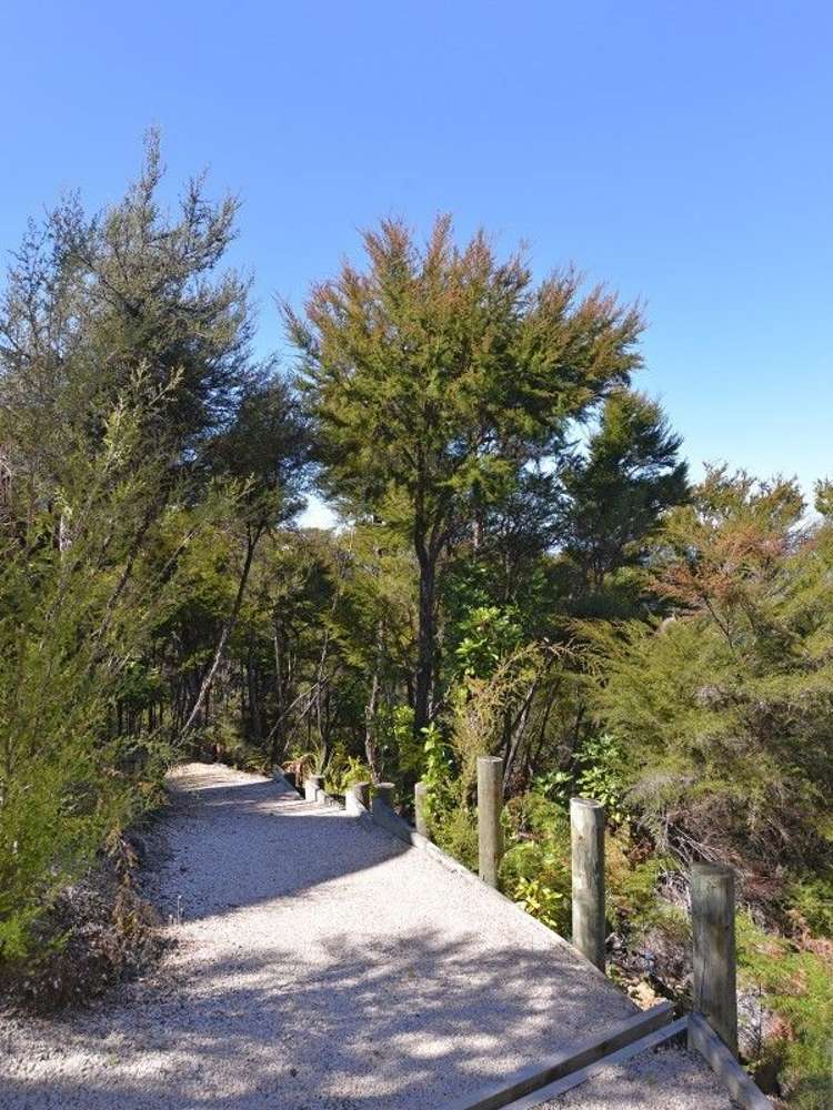 8 Moonraker Way Kaiteriteri_9