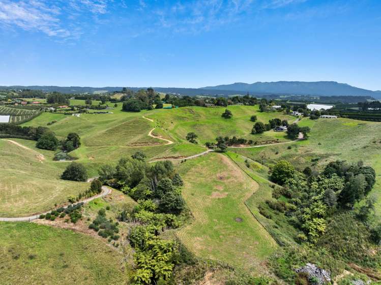 371 Esdaile Road Whakamarama_34