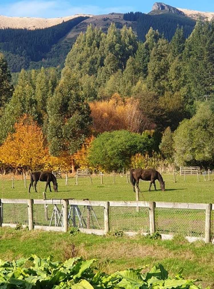 25 Lewthwaites Road Little River_17