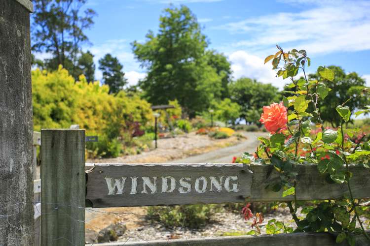 65 Manuka Grove Helensville_0