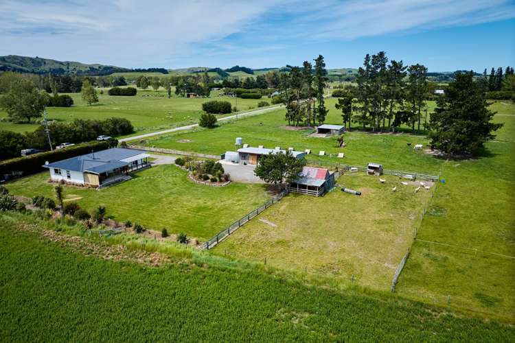 205 Homeview Road Cheviot_0