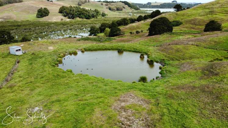 215c Heatley Road Whakapirau_1