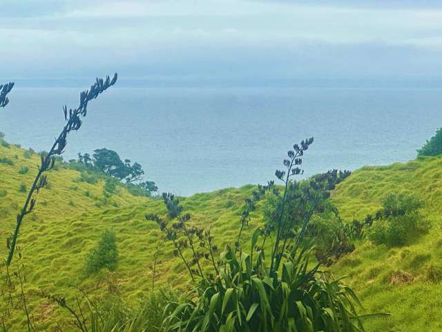 7 Askew Avenue Rakino Island_2