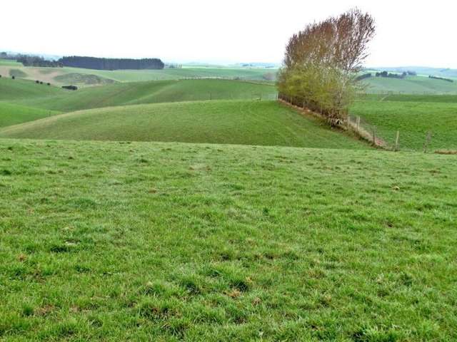 510 Glenkenich Road Gore Surrounds_1