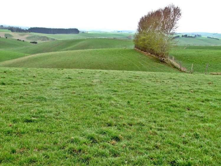 510 Glenkenich Road Gore Surrounds_1