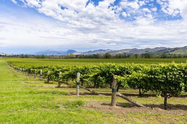 Seaview Road Seddon_3