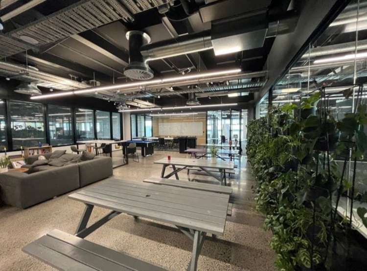 99 Khyber Pass Road Grafton_1