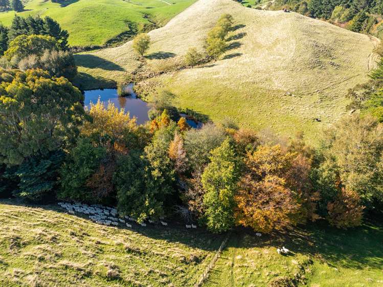 148 Mangatainoka Valley Road Eketahuna_22