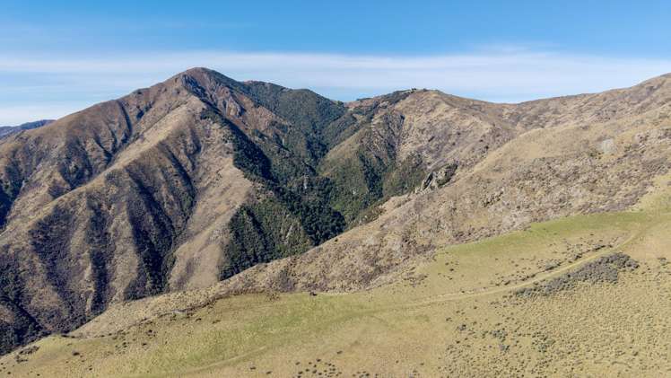 4098 Waihopai Valley Road Waihopai Valley_9