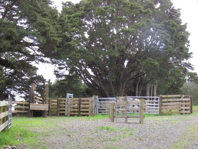 Tremain Road Ruatangata West_3