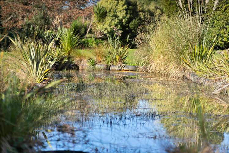 27 Awaroa Stream Drive Waiuku_20