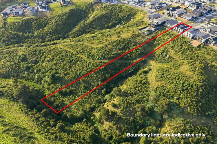 26 Ridgehill Rise Flat Bush_31