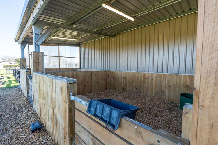 107 Pencarrow Road Tamahere_20