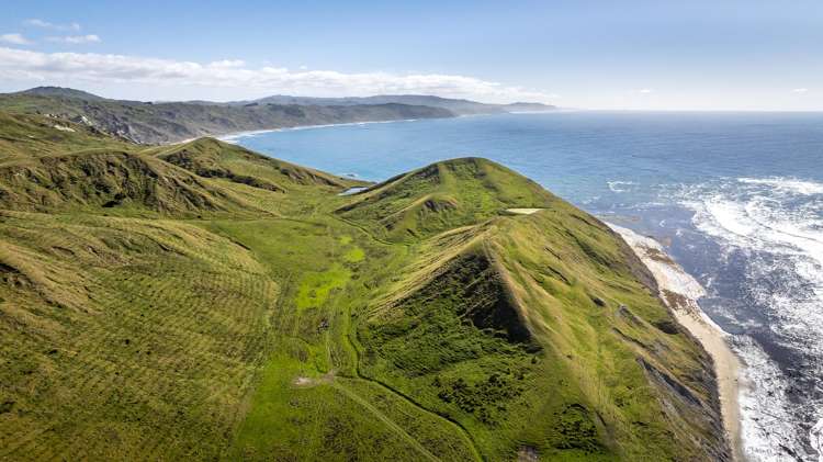 Paoanui Pourerere_17