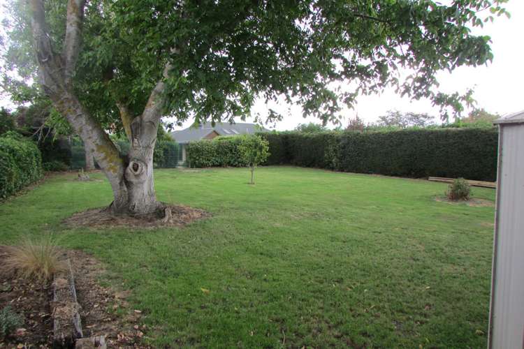 35 Bushyhill Street Tapanui_9