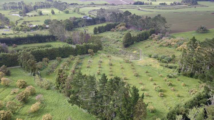 405 Tara Road Mangawhai_9