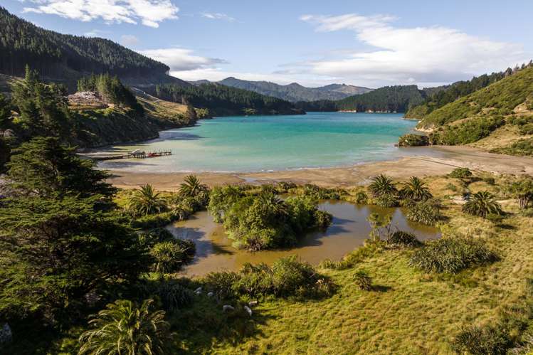 528 Oyster Bay Marlborough Sounds_55