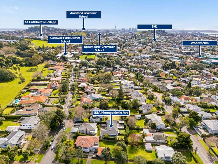 22A Maungakiekie Avenue Greenlane_37