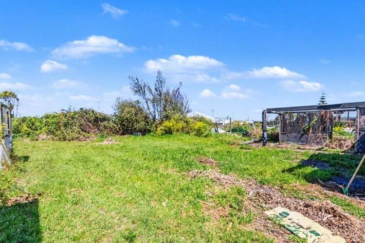 20 Wings Line Marton_15