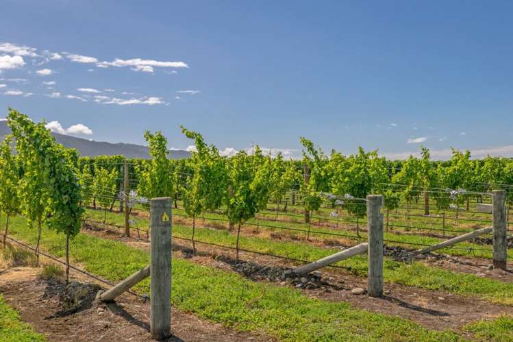 101 Flaxmill Drive Rarangi_23