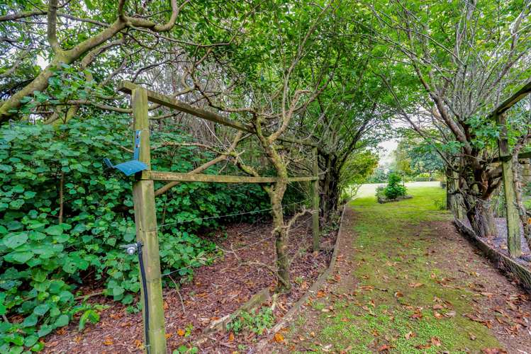 26 Shelter Grove Frankleigh Park_28