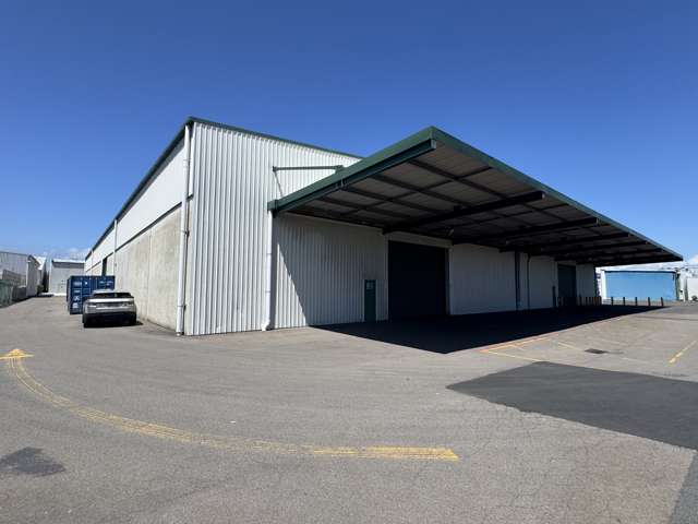 14B Harvard Way Mt Maunganui_1