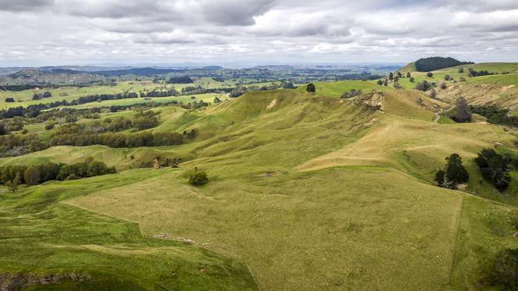 4332 Puketitiri Road Hastings Country_11