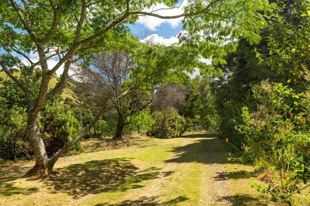 49 Mangotahi Road Thames_1