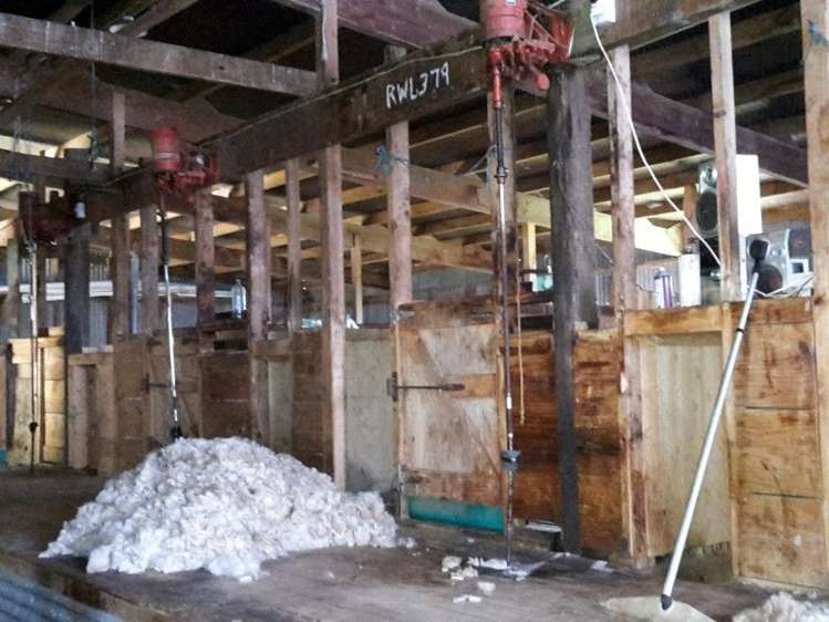 446 Stanley Road Te Popo_9