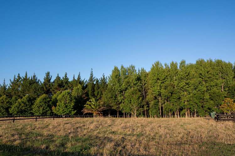 903 Old North Road Waimauku_41