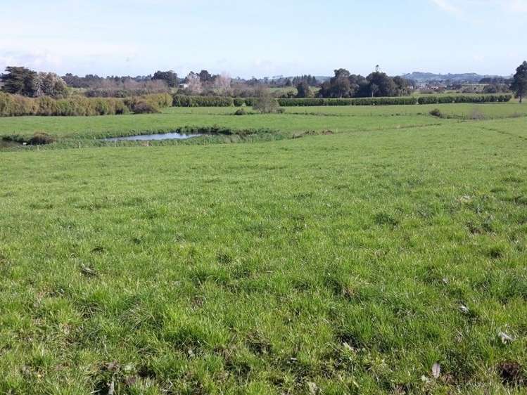 346 Rugby Road Tariki_54