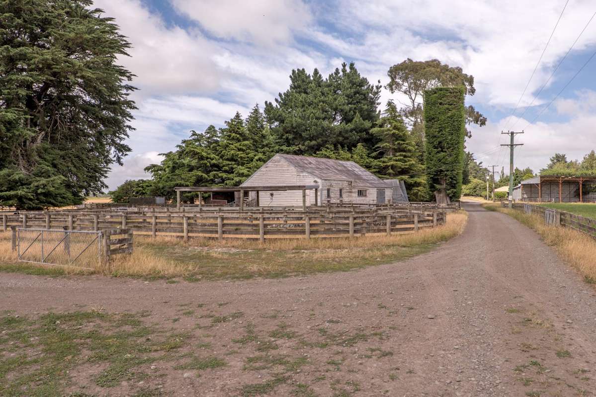 663 Boundary Creek Road_4