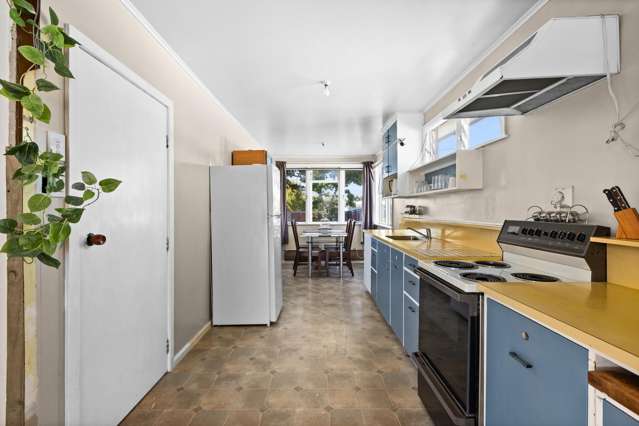 23 Geddis Avenue Maraenui_1