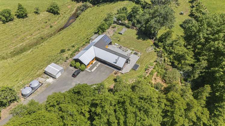 113 Dorset Road Hillsborough_26