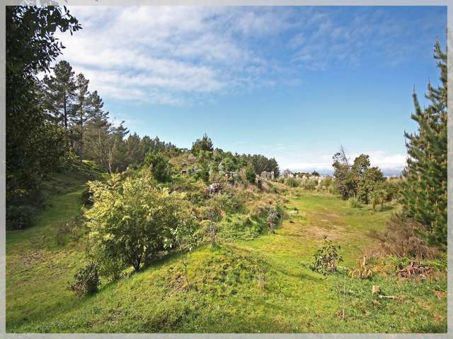 66 Palmer Road Foxton Beach_3