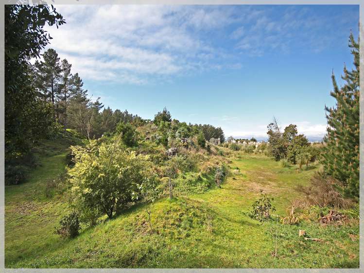66 Palmer Road Foxton Beach_3