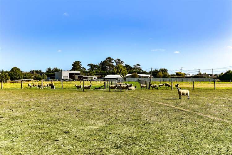 471 Springs Road Prebbleton_40