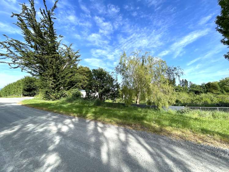 37 Knoll Street Milton_15