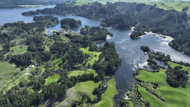 294b Dods Road Waikite Valley_12