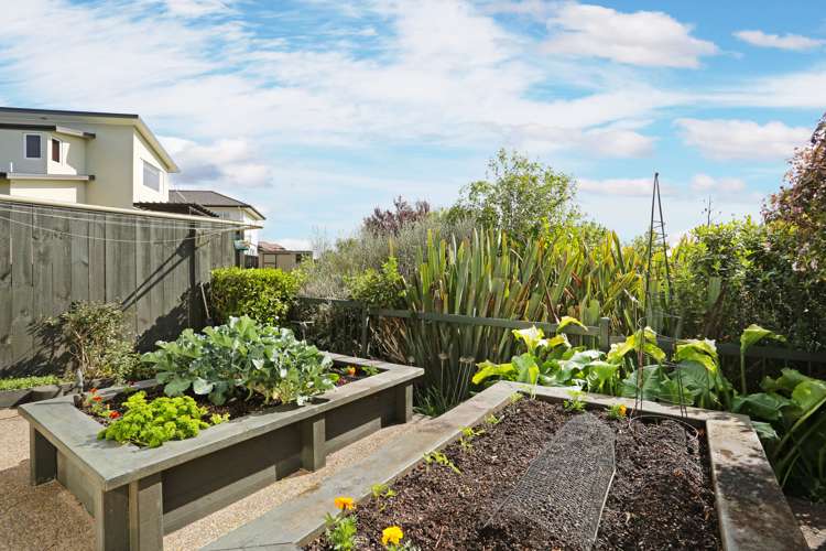 5 Corsica Way Karaka_16