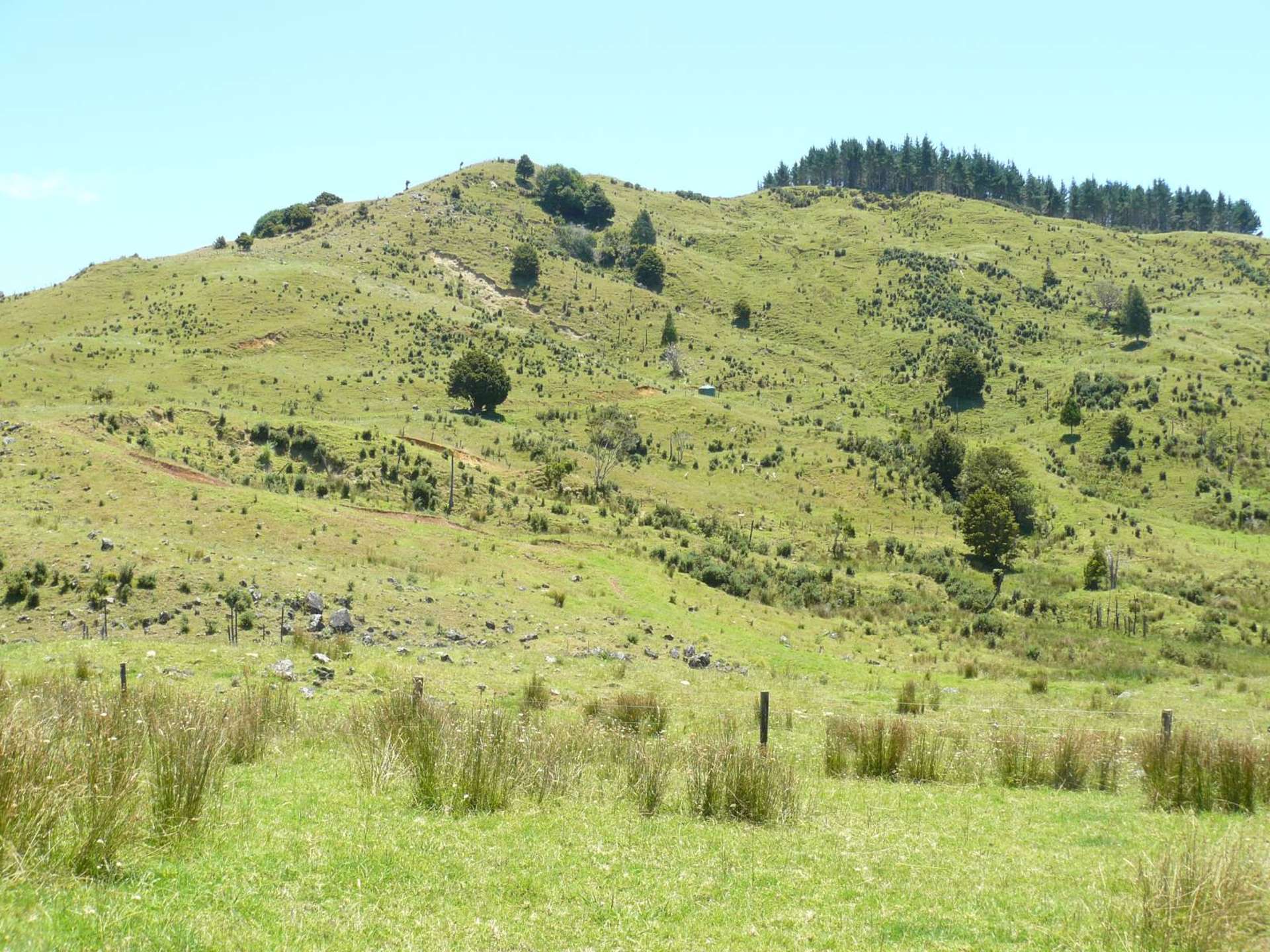 213 Matawherohia Road Kaeo_0