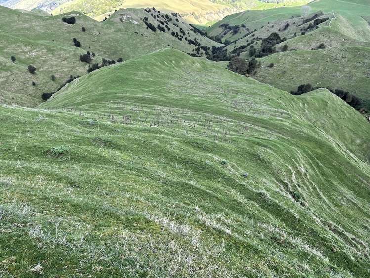 166 Saddler Road Ruapehu_21