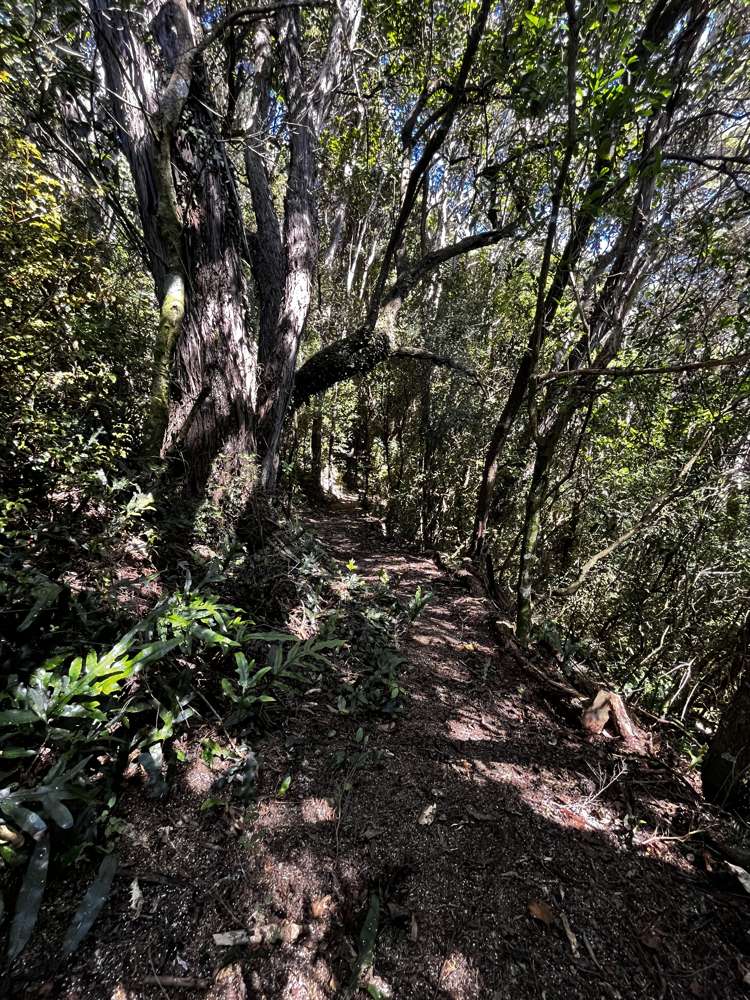 24 Fred Hollows Way Glenleith_11