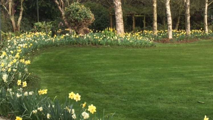 439 Dawsons Road Templeton_23